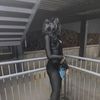 aignerd10